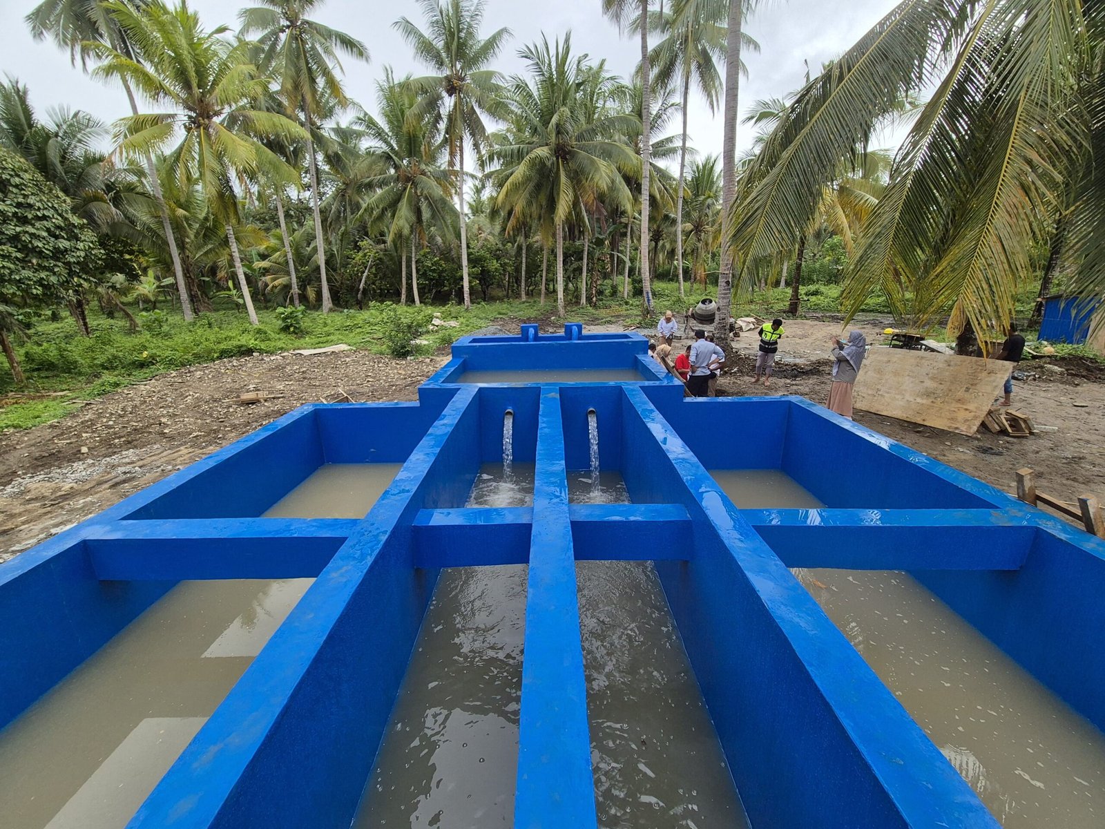 whatsapp image 2025 01 17 at 18.14.29 (2)