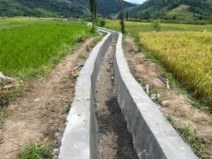 whatsapp image 2025 01 17 at 18.50.12